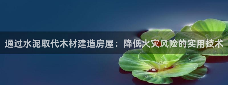 安信12开户：通过水泥取代木材建造房屋：降低火灾风险的实用技术