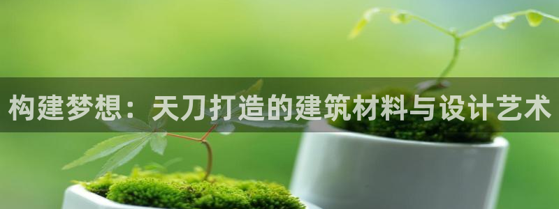 如何注销安信12软件：构建梦想：天刀打造的建筑材料与设计艺术