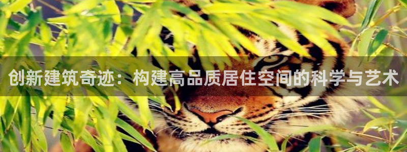 安信12是做什么：创新建筑奇迹：构建高品质居住空间的科学与艺术