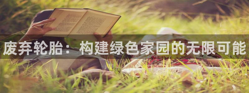 12月安信推荐：废弃轮胎：构建绿色家园的无限可能