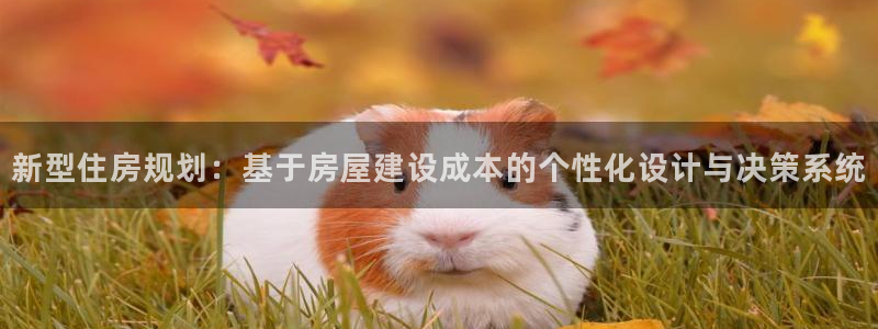 安信可12f：新型住房规划：基于房屋建设成本的个性化设计与决策系统