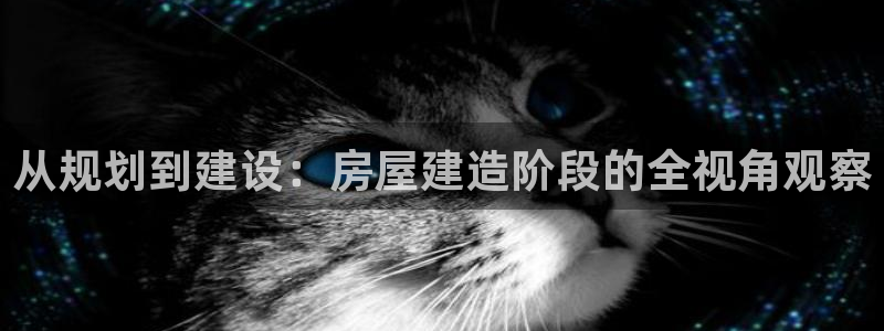 安信12登录网址：从规划到建设：房屋建造阶段的全视角观察