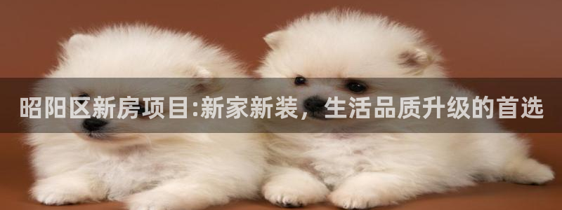 安信卓越12月：昭阳区新房项目:新家新装，生活品质升级的首选