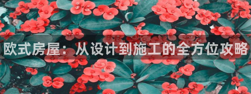 安信12彩票：欧式房屋：从设计到施工的全方位攻略
