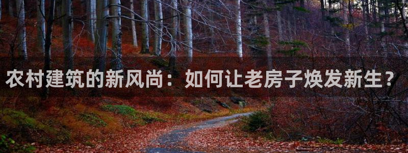 安信安翼 12账号