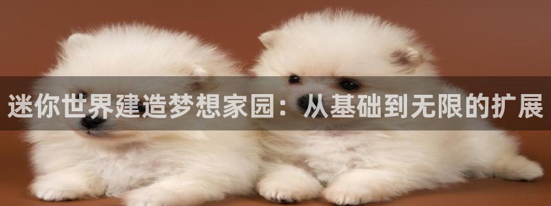 安信12想开户：迷你世界建造梦想家园：从基础到无限的扩展