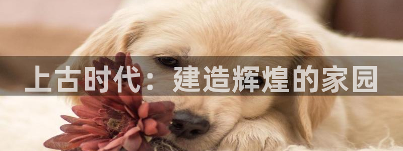 安信12app下载：上古时代：建造辉煌的家园