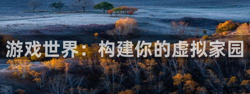 安信可12e12f：游戏世界：构建你的虚拟家园