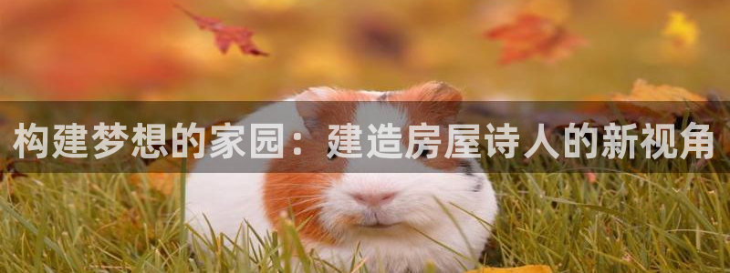 安信12是什么