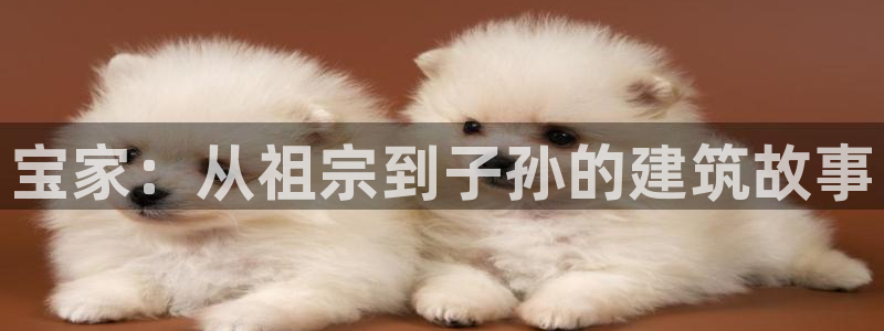 安信12娱乐招商：宝家：从祖宗到子孙的建筑故事