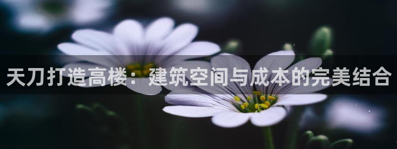 安信12娱乐7o777还：天刀打造高楼：建筑空间与成本的完美结合