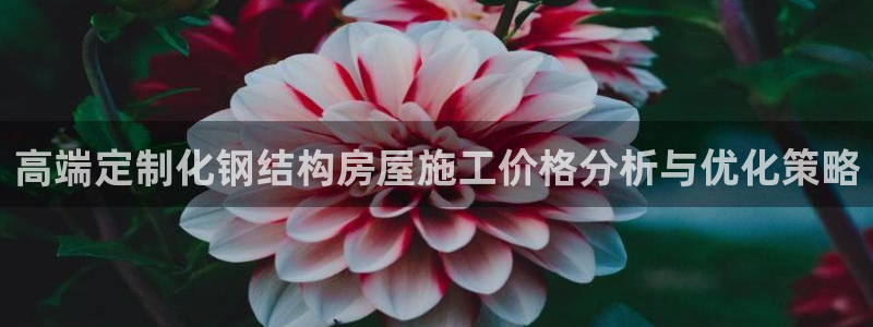 安信12周年庆典：高端定制化钢结构房屋施工价格分析与优化策略