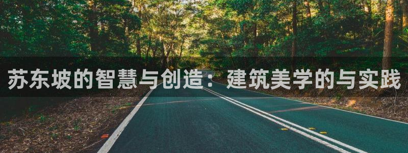 安信12级大众：苏东坡的智慧与创造：建筑美学的与实践