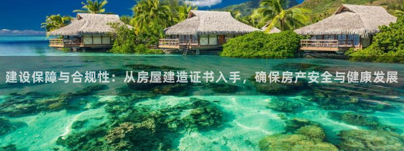安信12正版下载：建设保障与合规性：从房屋建造证书入手，确保房产安全与健康发展