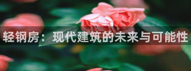 安信4娱乐去55 12