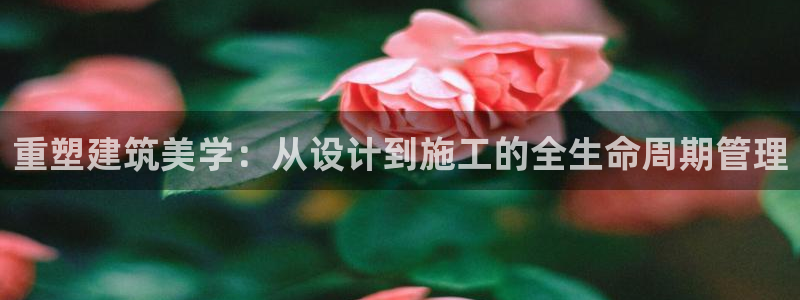 安信可12e12f：重塑建筑美学：从设计到施工的全生命周期管理