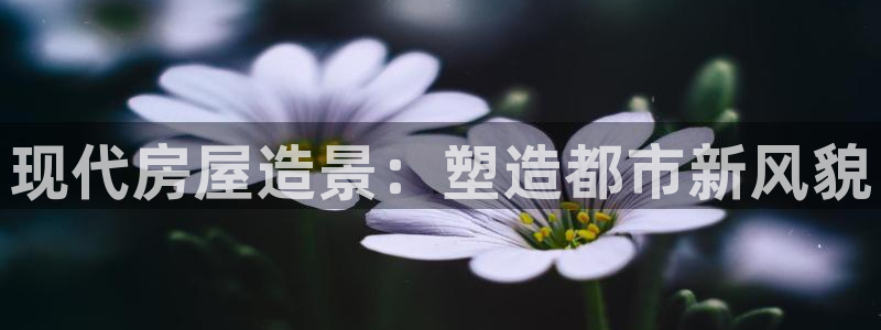 安信122853179Z空间：现代房屋造景：塑造都市新风貌