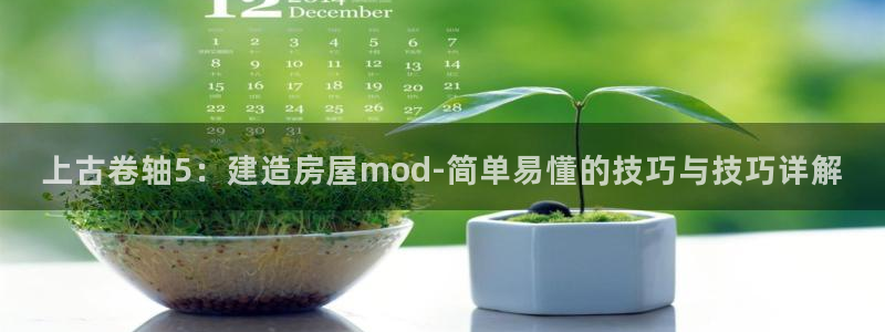 安信招商rk金12手12指jc：上古卷轴5：建造房屋mod-简单易懂的技巧与技巧详解