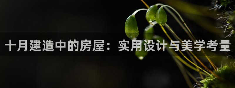 安信12软件介绍：十月建造中的房屋：实用设计与美学考量