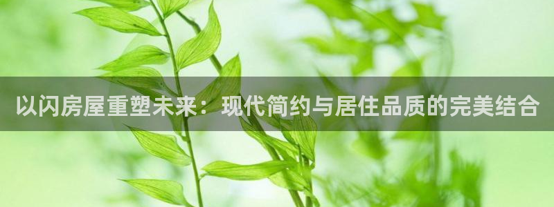 安信安盈12最新消息：以闪房屋重塑未来：现代简约与居住品质的完美结合