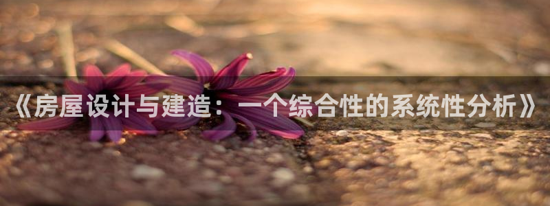 安信12是正规还是仿：《房屋设计与建造：一个综合性的系统性分析》