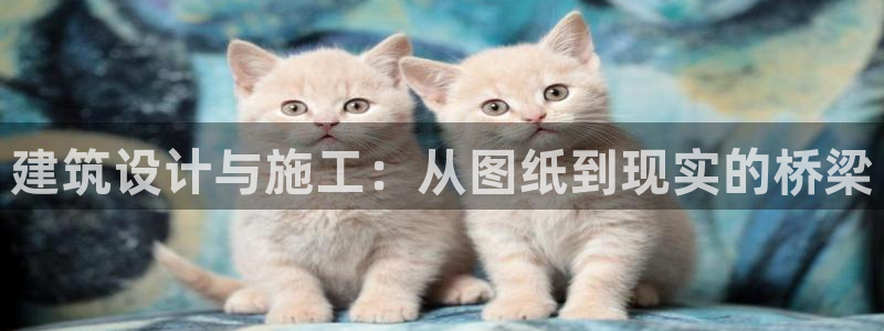 安信12主管：建筑设计与施工：从图纸到现实的桥梁