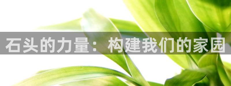 安信12网站：石头的力量：构建我们的家园