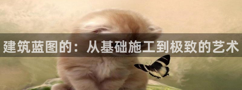 安信12官方下载：建筑蓝图的：从基础施工到极致的艺术