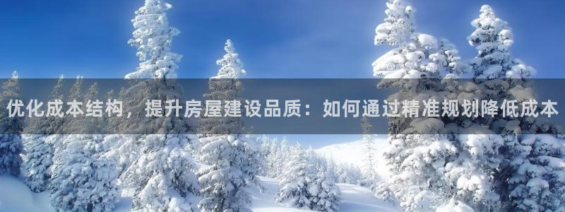 安信12娱乐登录网页：优化成本结构，提升房屋建设品质：如何通过精准规划降低成本