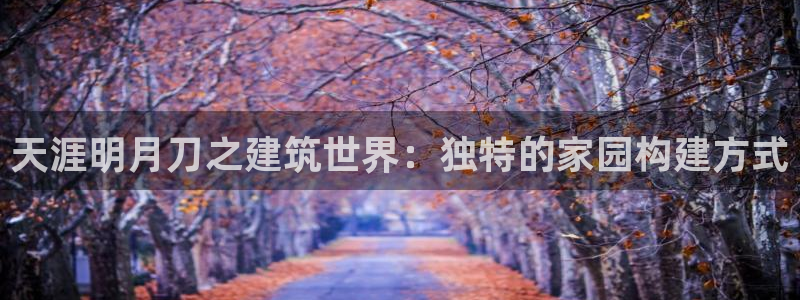 安信122853179Z空间：天涯明月刀之建筑世界：独特的家园构建方式