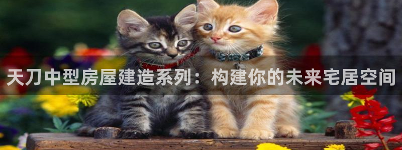 安信12平台最新消息：天刀中型房屋建造系列：构建你的未来宅居空间