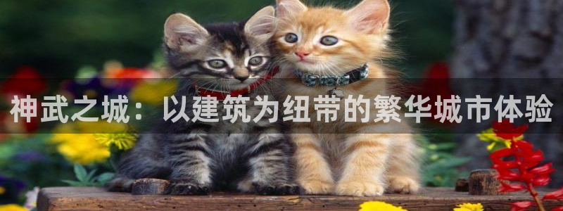 安信12想开户：神武之城：以建筑为纽带的繁华城市体验