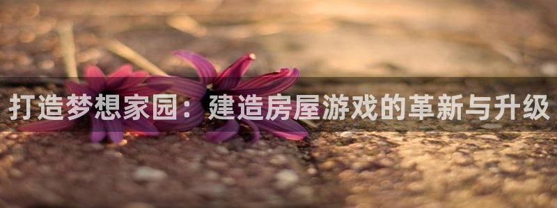 安信12注册：打造梦想家园：建造房屋游戏的革新与升级