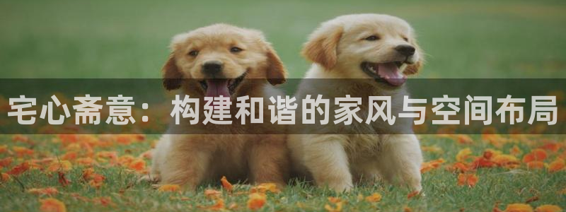 安信12月金股：宅心斋意：构建和谐的家风与空间布局