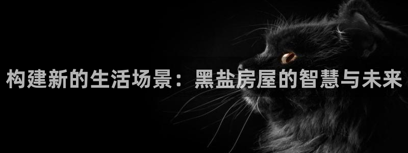 安信12娱乐：构建新的生活场景：黑盐房屋的智慧与未来