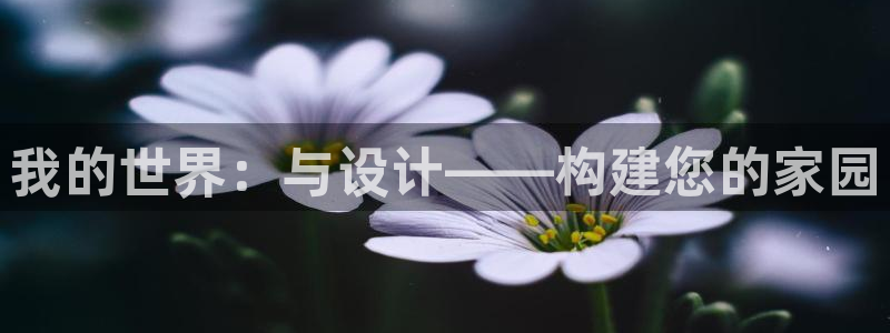 安信12平台的网址：我的世界：与设计——构建您的家园
