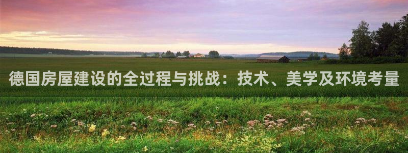 安信12注册登录：德国房屋建设的全过程与挑战：技术、美学及环境考量