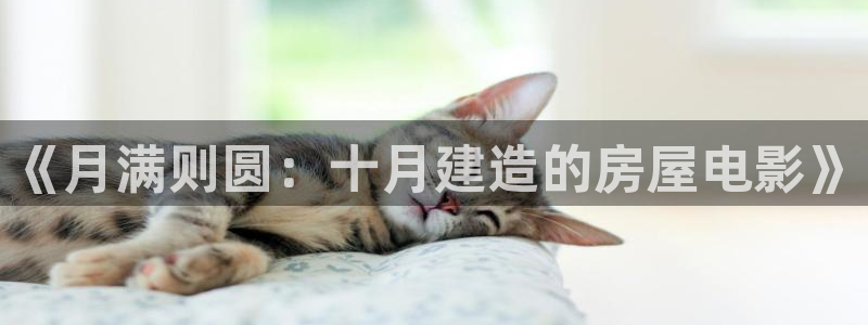 安信12网站：《月满则圆：十月建造的房屋电影》