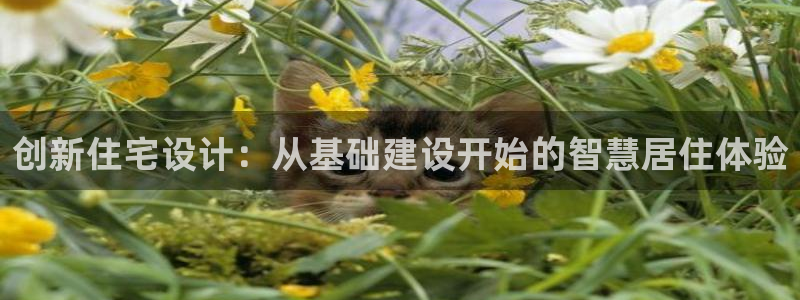 安信安翼 12账号：创新住宅设计：从基础建设开始的智慧居住体验