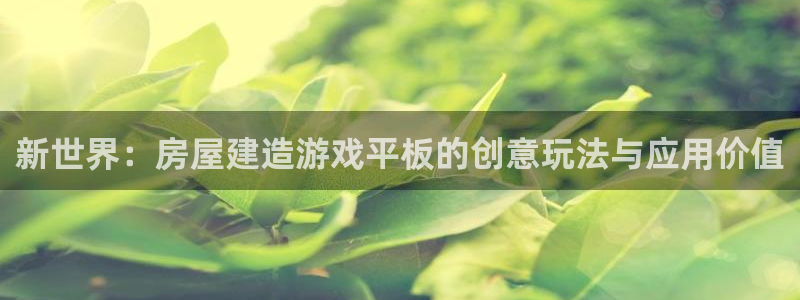 安信12平台可靠吗：新世界：房屋建造游戏平板的创意玩法与应用价值