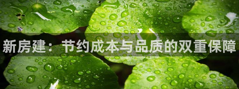 安信12主管：新房建：节约成本与品质的双重保障
