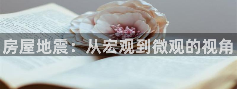 安信12怎么注册：房屋地震：从宏观到微观的视角