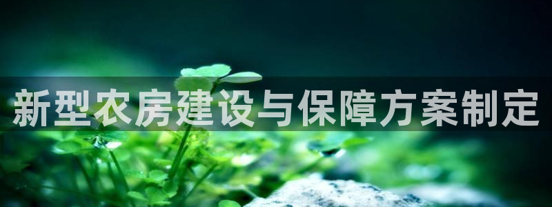 安信12注册登录下戴：新型农房建设与保障方案制定