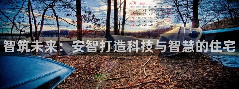 安信12是什么平台：智筑未来：安智打造科技与智慧的住宅