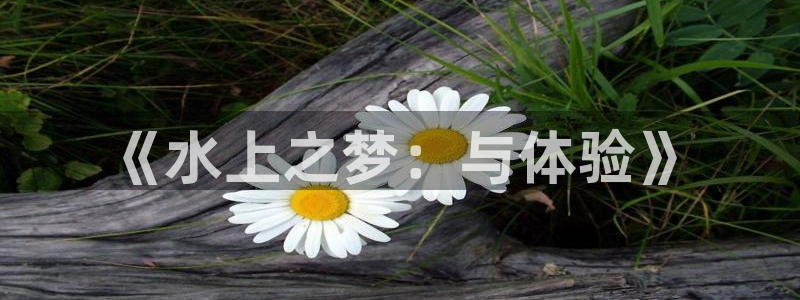 安信12周年庆：《水上之梦：与体验》