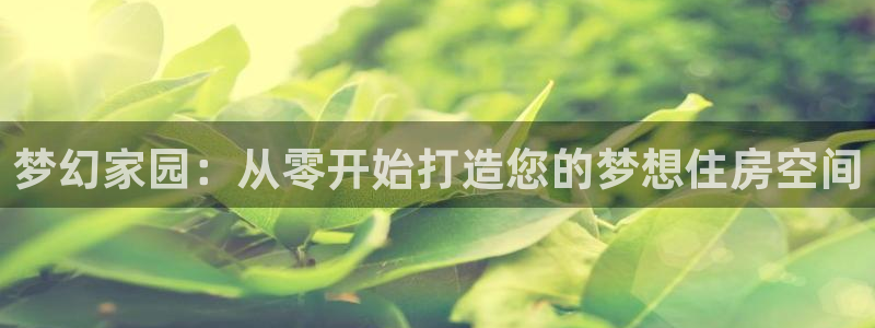 安信esp12：梦幻家园：从零开始打造您的梦想住房空间