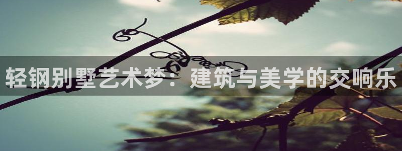 安信12娱乐注册：轻钢别墅艺术梦：建筑与美学的交响乐