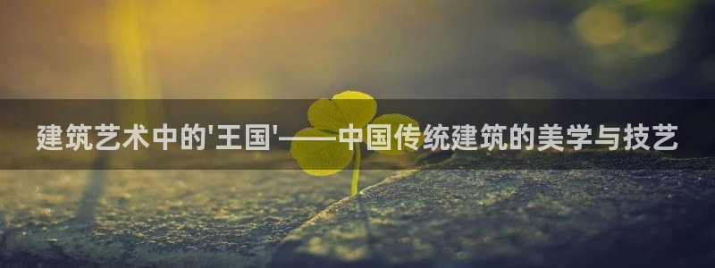 安信12注册登录平台：建筑艺术中的\'王国\'——中国传统建筑的美学与技艺