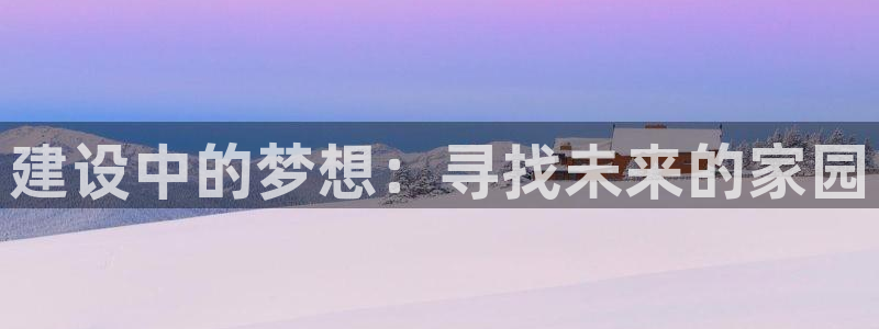 安信12级：建设中的梦想：寻找未来的家园