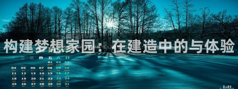 安信信托12 期：构建梦想家园：在建造中的与体验